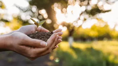 Icon image for Bosch Green Weekend