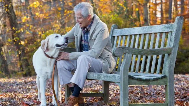 An elderly gentleman sits on a park bench and strokes his dog.